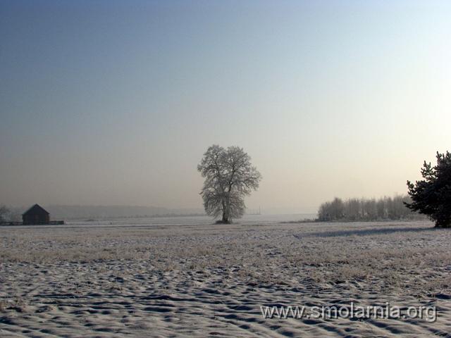 zima2009 (31).JPG